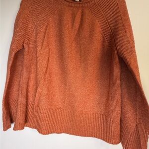 Wonderly Rust Orange Crewneck Knit Sweater